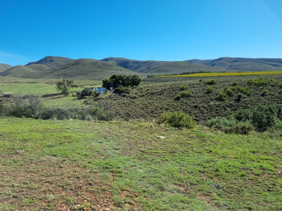 0 Bedroom Property for Sale in Haarlem Western Cape